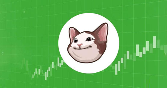 POPCAT是什么币种？POPCAT币值得投资吗？